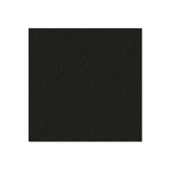 Adam Hall 0497 G Birkensperrholz kunststoffbeschichtet mit Stabilisierungsfolie schwarz 9,4 mm