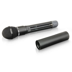 LD Systems ECO 2X2 HHD 2 Dual - Wireless Mic System with 2 x Dynamic Mic