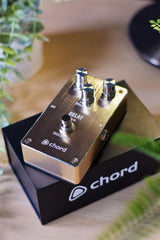 Chord DL-50 Pédale de guitare à effet de retard