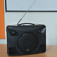 QTX Delta 50 Portable Sound System with Bluetooth