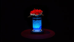 Chauvet DJ Freedom Centerpiece Set Battery Table Decor Wedding Venue Lighting *BSTOCK*
