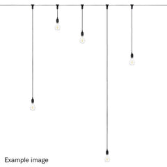 eLumen8 2.0m BC Festoon Pendant - E27 Lamp Holder