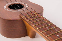 Vintage Ukulele Outfit - Tan