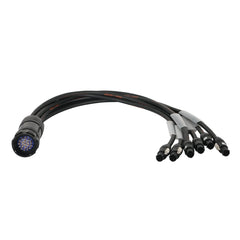 eLumen8 Socapex 19-Pin Male - PowerCON True1 2.5mm Fan-Out Cable