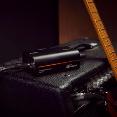 Passive Re-Amplifikationsbox von Palmer Trave