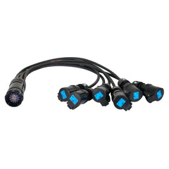 eLumen8 Socapex 19-Pin Male - 16A Female 2.5mm Fan-Out Cable
