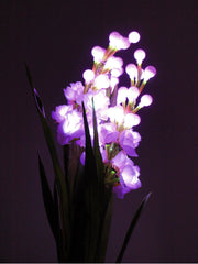 EUROPALMS Arum set, 3 branches with LEDs, pink 85cm