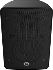 Intusonic IntuScape 4FP40R-B 4" 8 Ohm / 100V Lautsprecher Schwarz Outdoor 40W