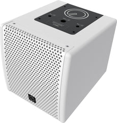 Intusonic IntuCab 4FW50T-W Haut-parleur d'installation 4'' 16ohm Blanc