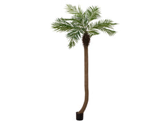 EUROPALMS Phoenix palmier louxor courbé, plante artificielle, 240cm