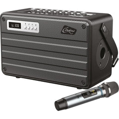 Perkins ROADY FL Tragbare Combo mit UHF-Mikrofon