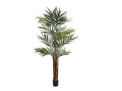 EUROPALMS Palmier Kentia, plante artificielle, 300cm
