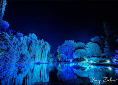 Luminaire extérieur LEDJ Spectra QX40 Pixel MKII