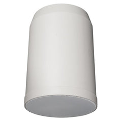 DAP HS-620P Enceinte suspendue 20 W 6"