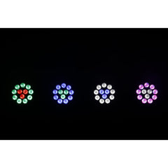 AFX CLUB-MIX2-IP LED PAR CAN 12 x 12W RGBW With Dual Control – IP65