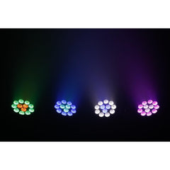 AFX CLUB-MIX2-IP LED PAR CAN 12 x 12W RGBW With Dual Control – IP65