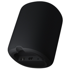 WiiM Sound Wireless Smart Speaker- Black