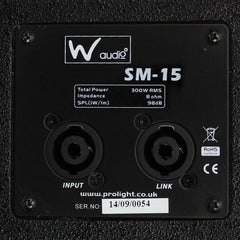 W Audio SM 15 Stage Monitor