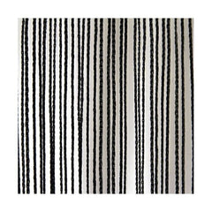 Wentex Rideau à Cordes 3(h)x3(l)m Noir, avec fermeture auto-agrippante