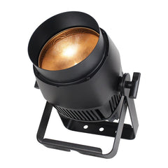 Luminaire extérieur eLumen8 Endura WW100 COB