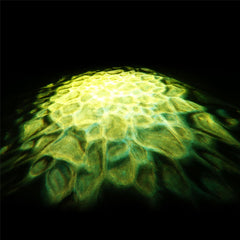 Lampe à effet d'eau Cameo SCUBA avec LED 90 W, roue chromatique et 2 lentilles
