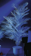 Europalms Kentia Palmier Artificiel Blanc UV 90 cm