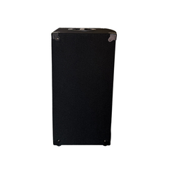 Intimidation 8" Passive PA Speaker Pair 600W *B-STOCK*