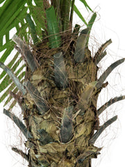 Europalms Phoenix Palm Tree Luxor Artificial Plant 150cm *BSTOCK*