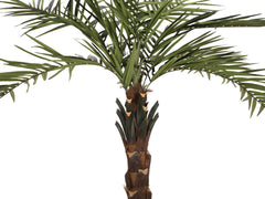 EUROPALMS Kentia palmier deluxe, plante artificielle, 300cm
