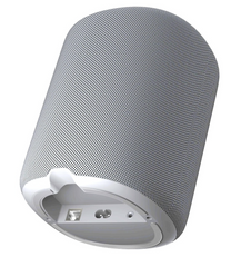 WiiM Sound Wireless Smart Speaker- White