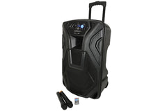 QTX BUSKER PA WITH VHF MICS QK15PA SPEAKER