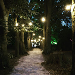PCE 10m BC Festoon, 0.3m Spacing with 16A Plug and Socket