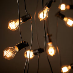 Showtec 50M Heavy Duty Rubber Festoon Festival Grade Outdoor Lighting INC 50 Filament Lamps