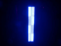 Eurolite IP65 Outdoor LED FX Strobe Light (RGB + CW/WW LEDs)