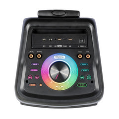 Ibiza Sound STUPDJ1400 “Special Karaoke” StandUp Box 2 x 10" 1400W Speaker