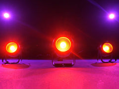 EUROLITE LED PARTy Spot COB 15W RVB