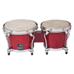 P.p.bongos- Trans Red