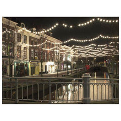 Showtec 50M Heavy Duty Rubber Festoon Festival Grade Outdoor Lighting INC 50 Filament Lamps