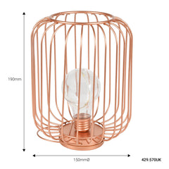 Lyyt | Decorative Cage Light with Copper Wire Bulb | Rose Gold