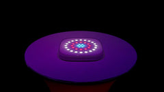 Chauvet DJ Freedom Centerpiece Set Battery Table Decor Wedding Venue Lighting *BSTOCK*