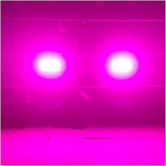 Thor Strobe FX XL 250W LED Strobe RGBW *BSTOCK*