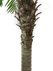 Europalms Phoenix Palm Tree Luxor Artificial Plant 150cm *BSTOCK*