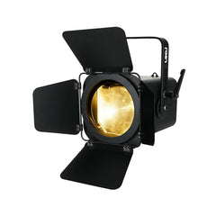 LEDJ Artisan 1000 WW Fresnel LED Theaterbühne 100 W Warmweiß DMX