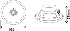 Omnitronic Wf-5 Flush-Mount Speaker