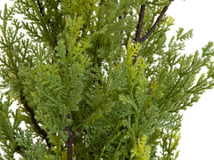 EUROPALMS Cypress, Leyland, artificial plant, 90cm