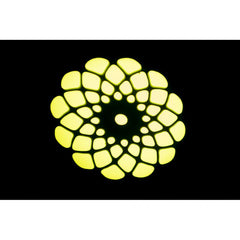 2x Ibiza Light Star-Spot Black 30W RGBW Spot Moving Head DJ Lighting