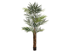 EUROPALMS Palmier Kentia, plante artificielle, 300cm