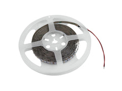 Bande Led Eurolite 300 5M 3528 5700K 12V
