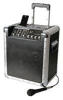 Pulse Trekker Portable Busker PA System