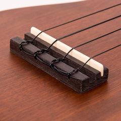 Vintage Ukulele Outfit - Tan